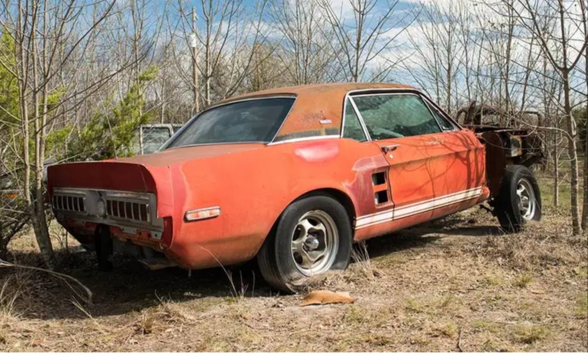 1967 Shelby GT500 (2)