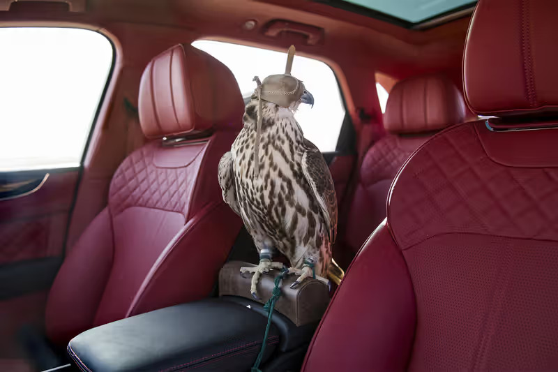 Bentley Bentayga’s Custom Falconry Set (1)