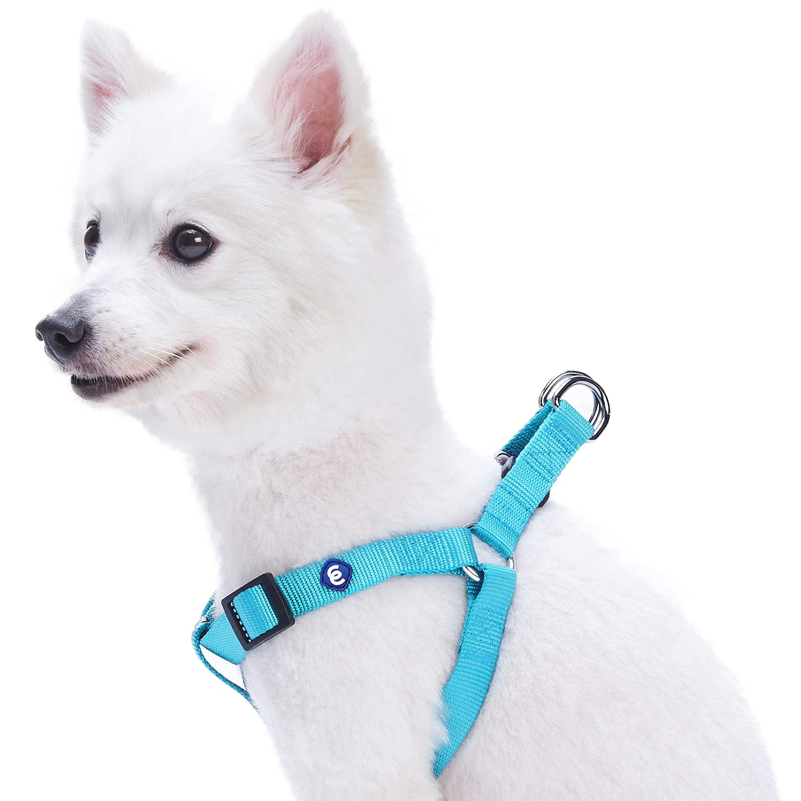 Blueberry Pet Essentials Adjustable Dog Seat Belt