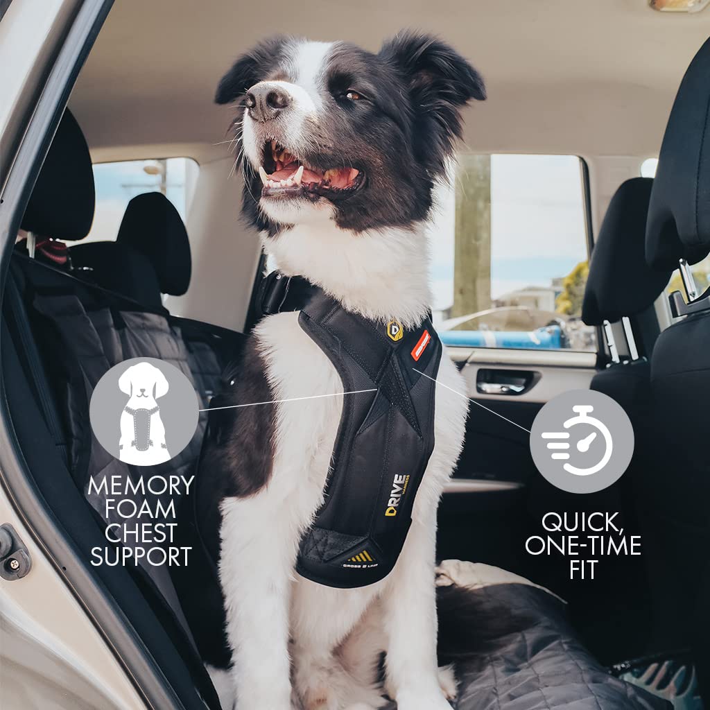 EzyDog Drive Dog Car Harness