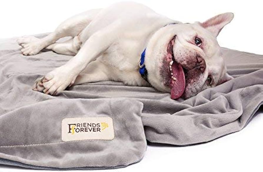 Friends Forever Durable Dog Blanket