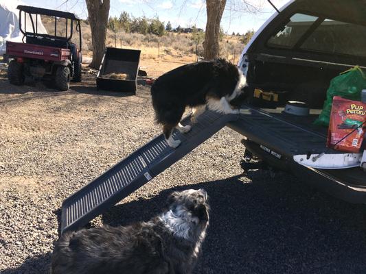 Frisco Bi Fold Travel Dog Car Ramp