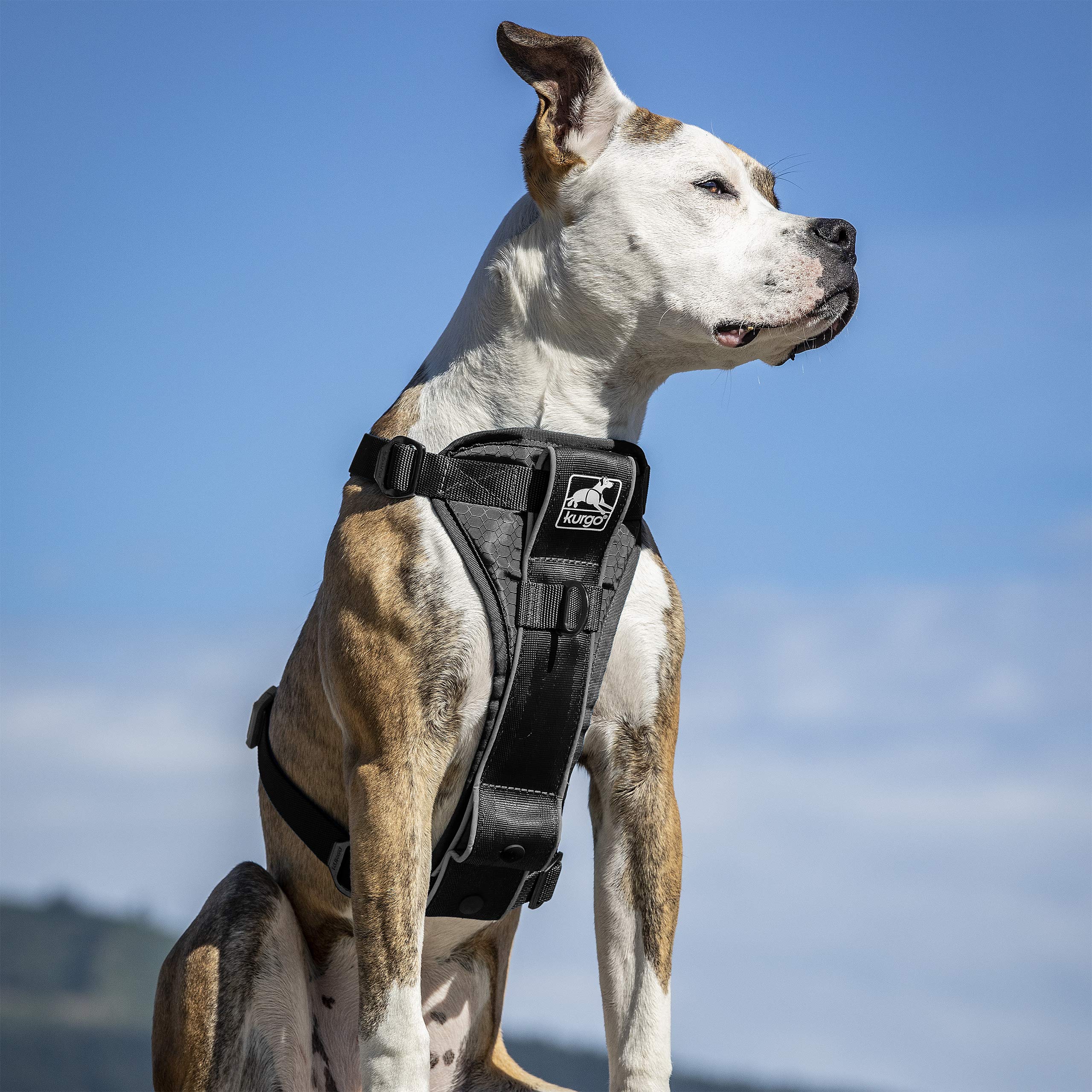 Kurgo Tru-Fit Smart Dog Harness