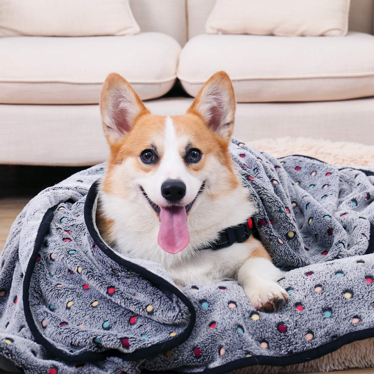 PAWZ Road Pet Dog Blanket