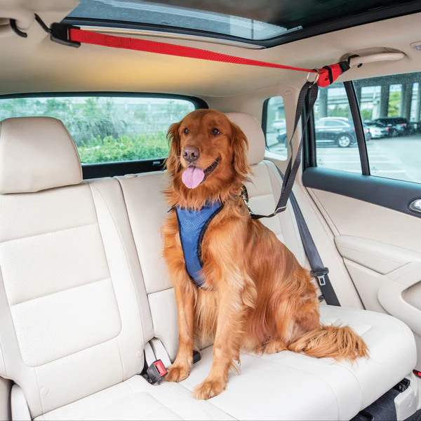 PetSafe Happy Ride Dog Safety Harness