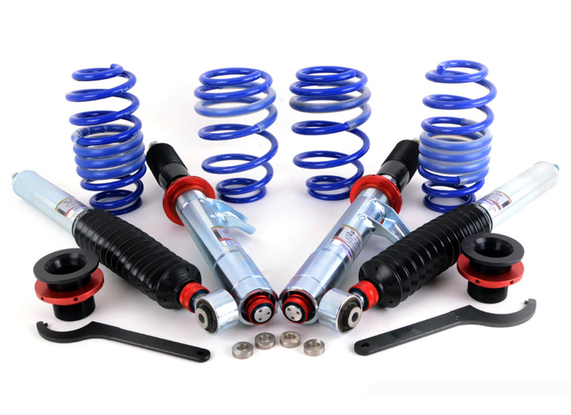 Sachs Performance Shocks