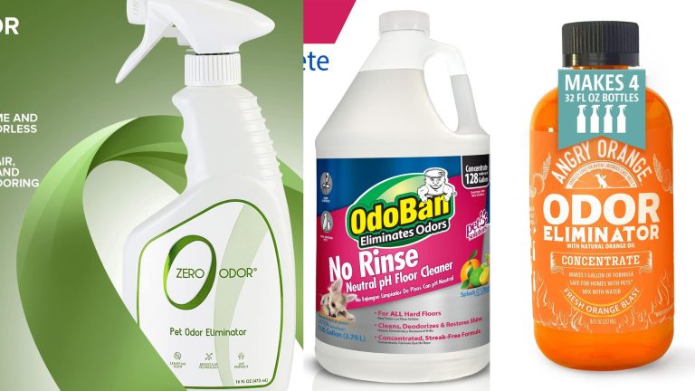 Top 10 Odor Neutralizing Sprays for Pet Smells