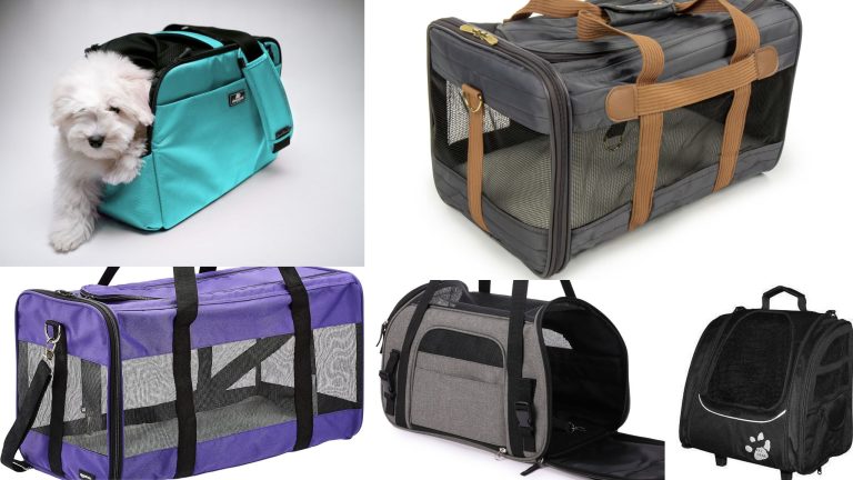 Top 10 Pet Carriers for Safe Travel