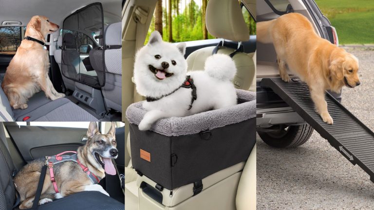 Top 10 Pet Friendly Car Accessories