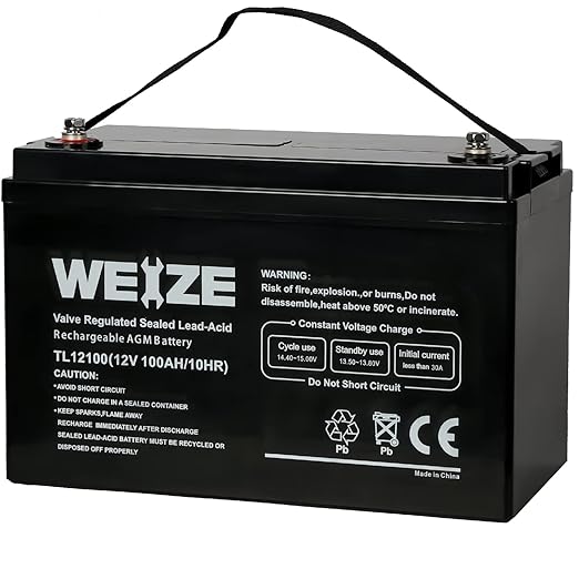 Weize 12 V 100Ah Deep Cycle AGM Battery