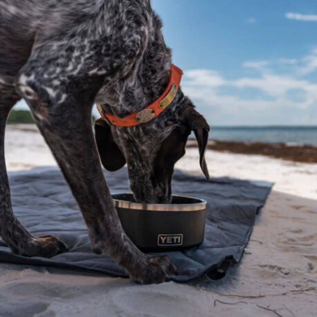 Yeti Boomer 8 Dog Bowl