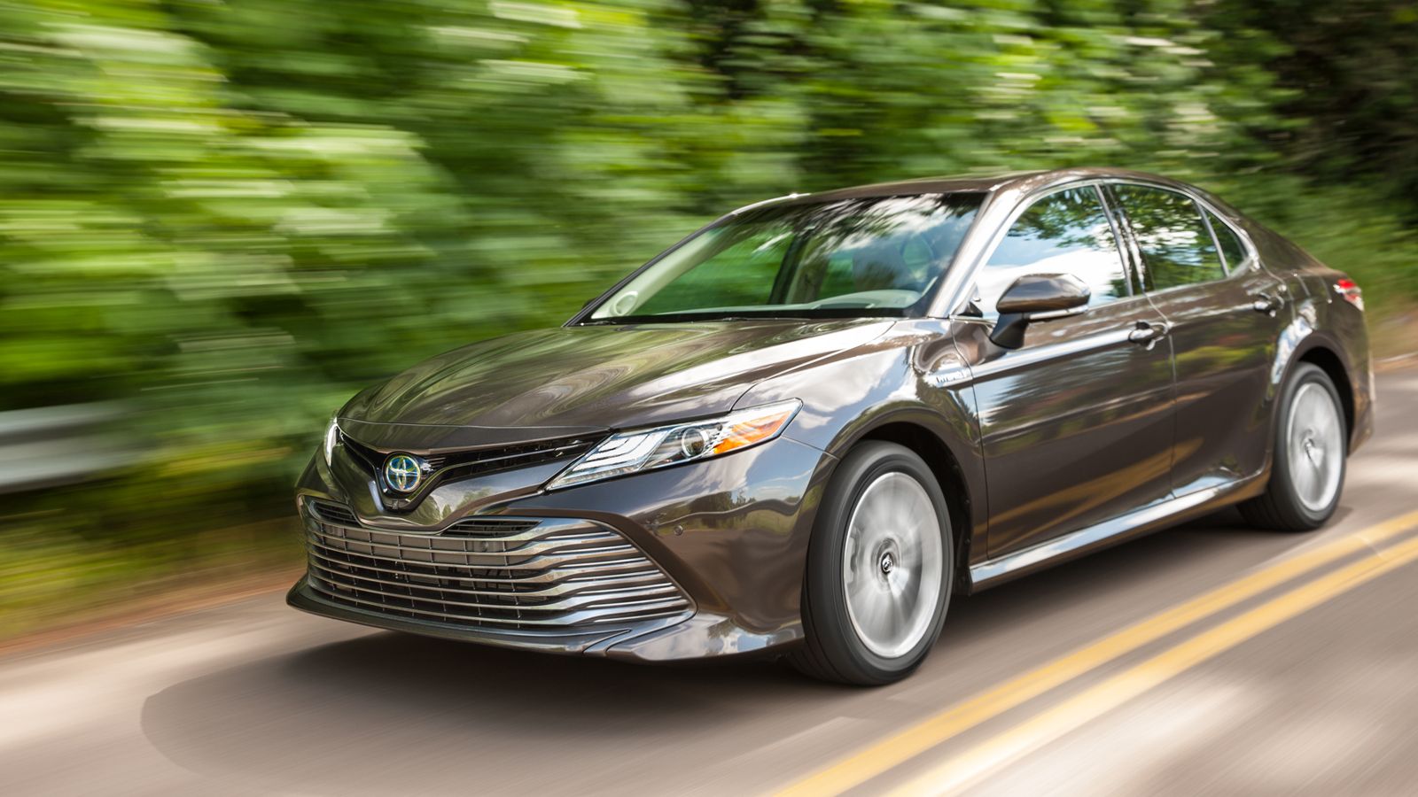 2019 Toyota Camry Hybrid