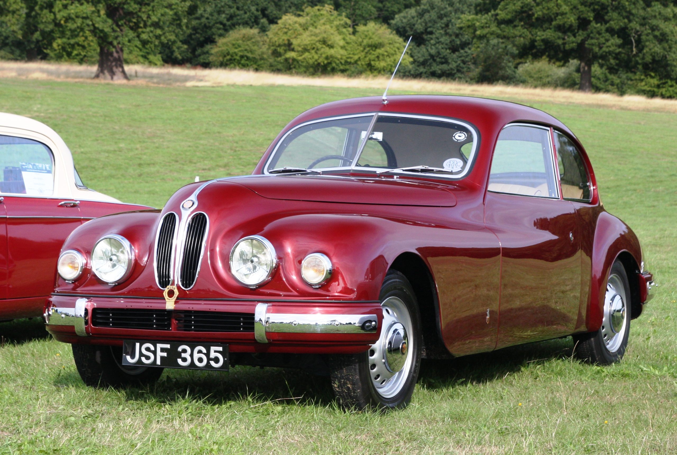 Bristol 401