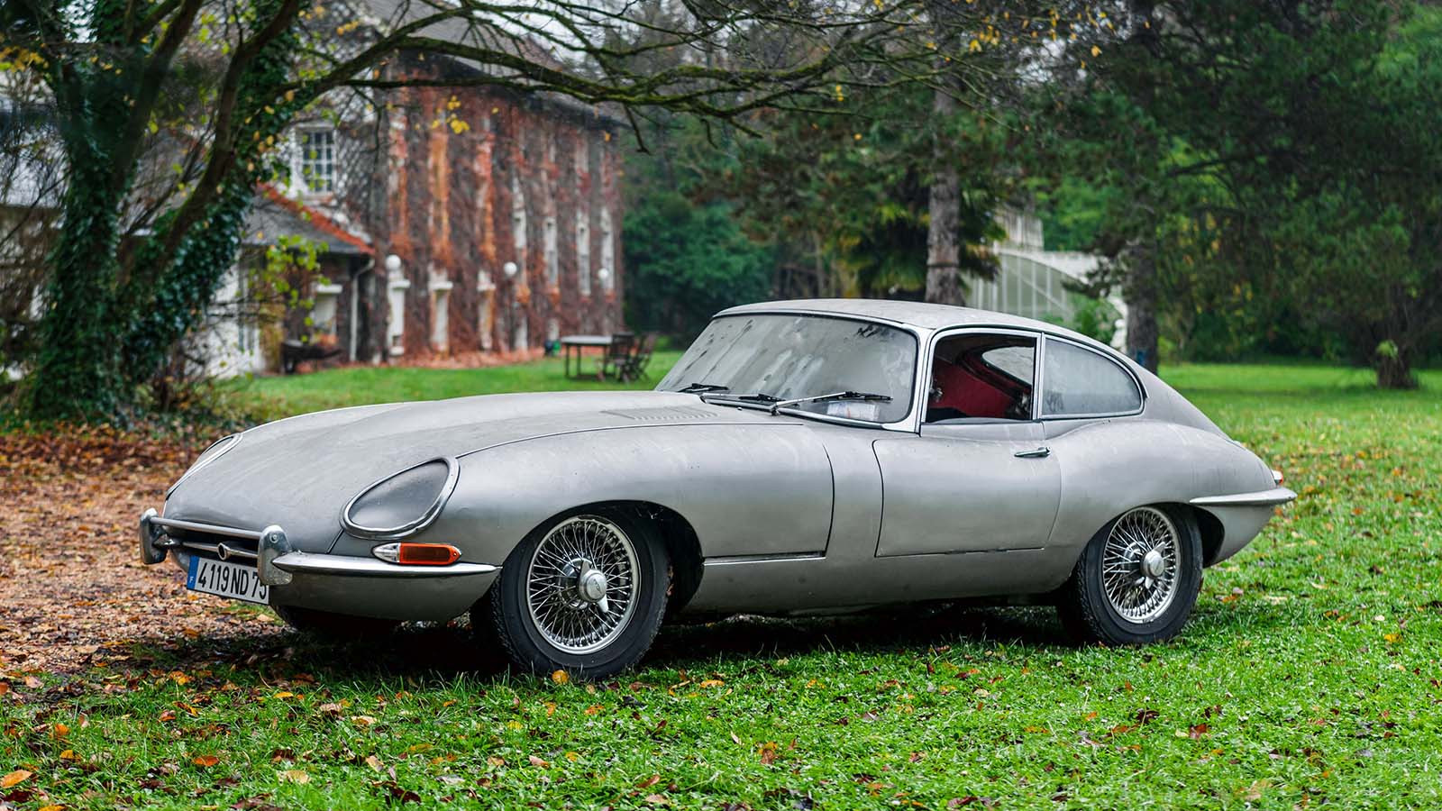 Jaguar E Type Hidden in French Countryside