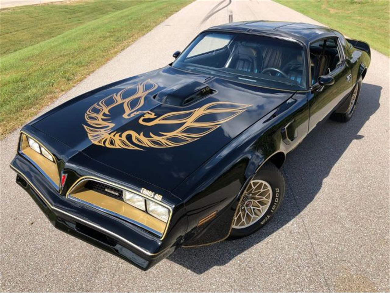 The Pontiac Firebird