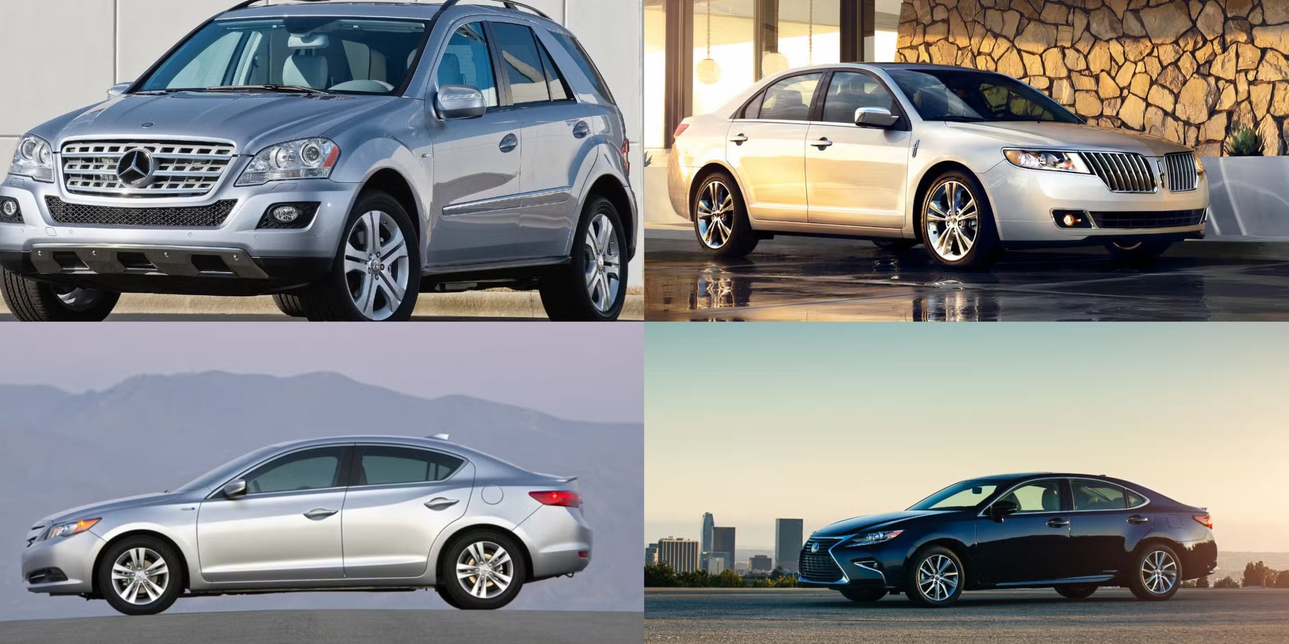 10 Reliable Older Hybrids You Can Count On