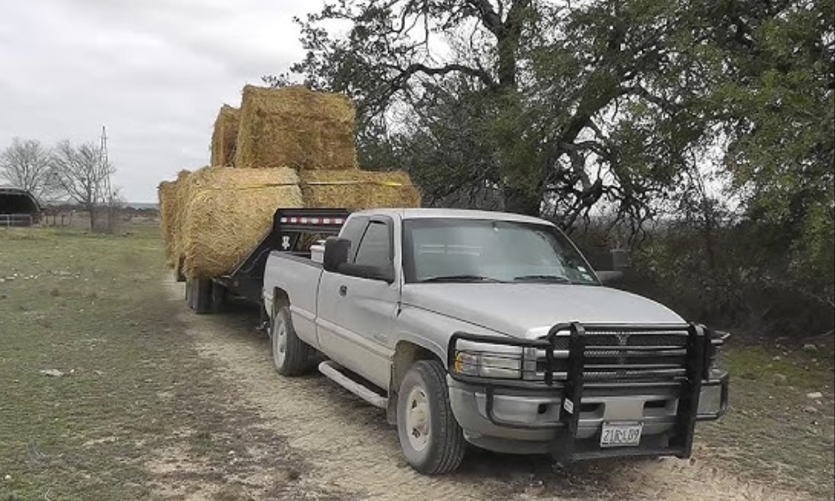 1997 12V Dodge Cummins Hauling Truck (2) 1997 12V Dodge Cummins Hauling Truck (2)