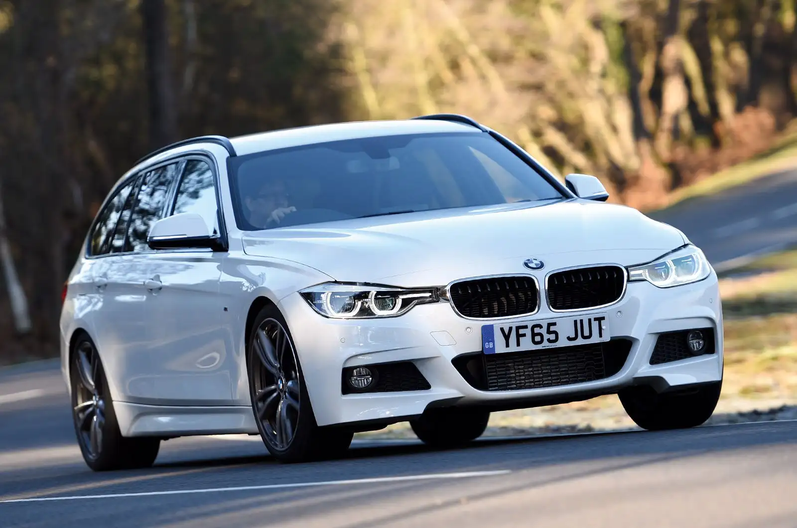 BMW 3 Series (2012 2019) BMW 3 Series (2012 2019)