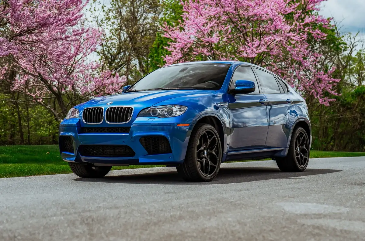 2010 BMW E71 X6