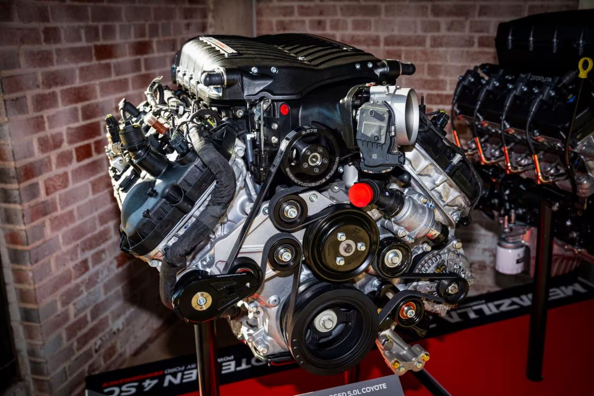 Ford Coyote Ford Coyote