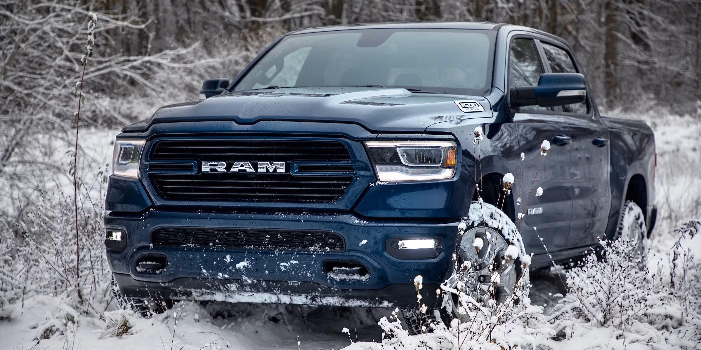 Pickups That Handle Harsh Winter Conditions