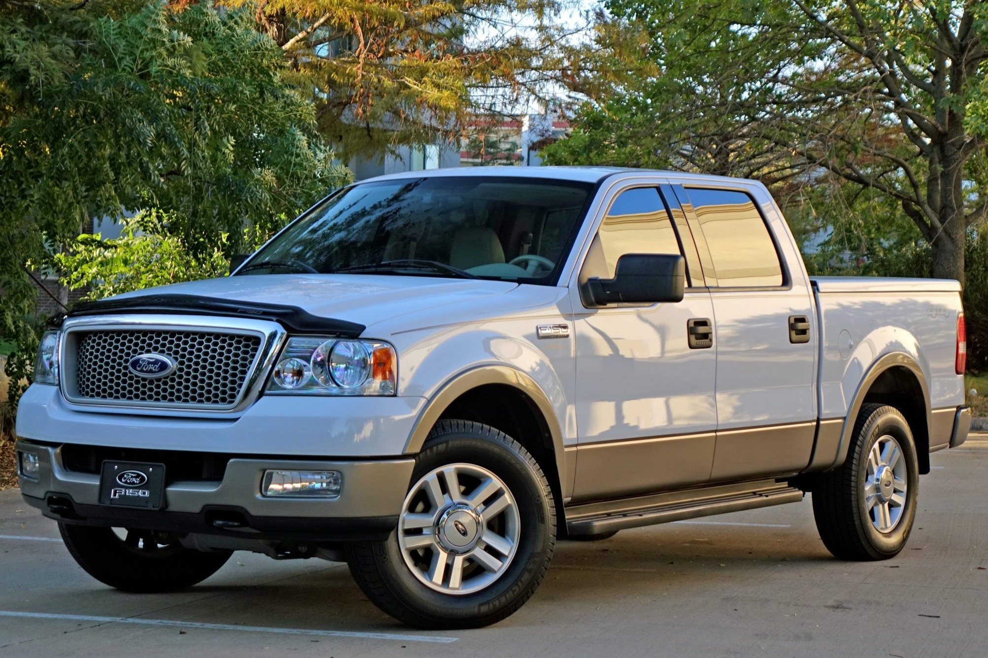 2004 Ford F 150