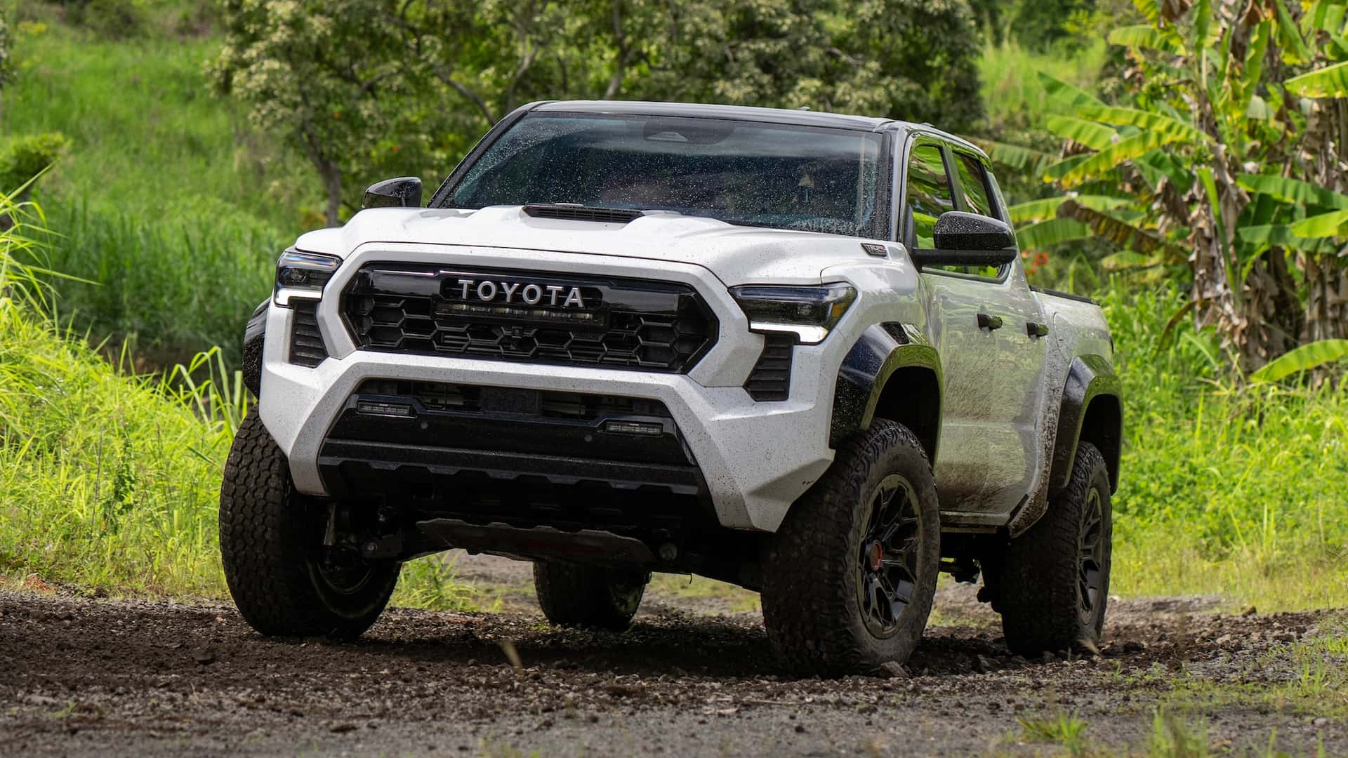 2024 Toyota Tacoma Trd