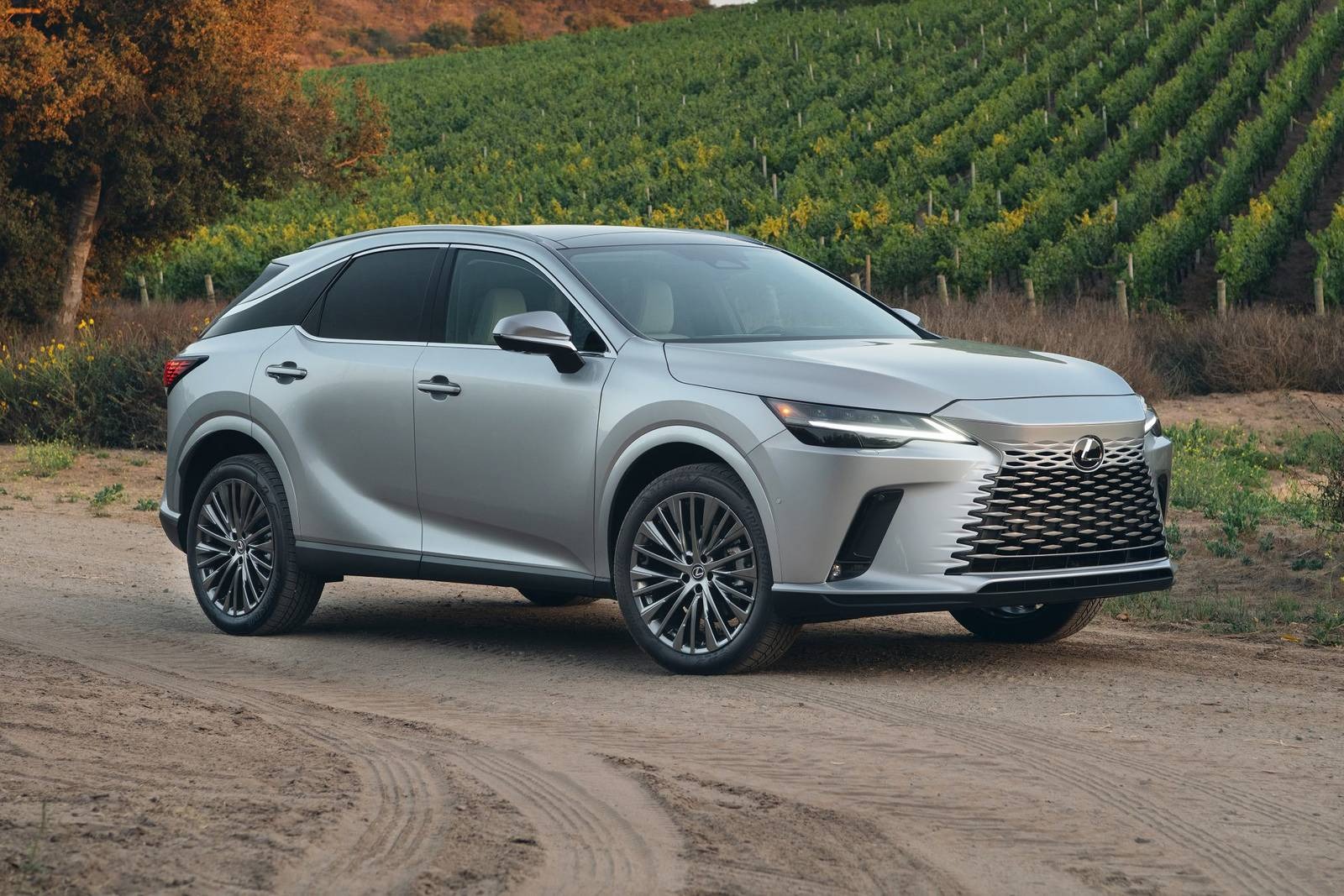 2025 Lexus RX