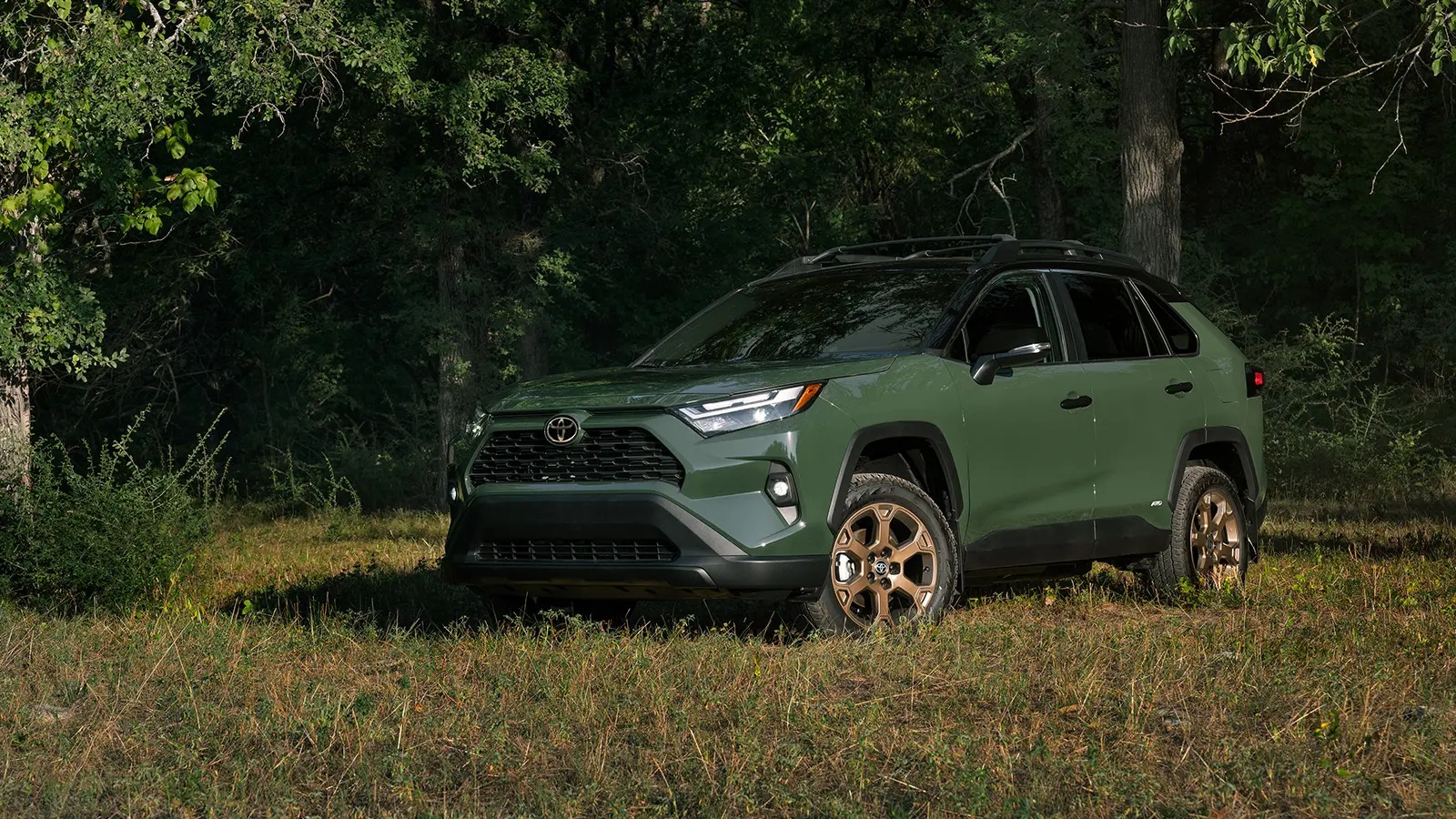 Affordable Hybrids That Feel Well Made