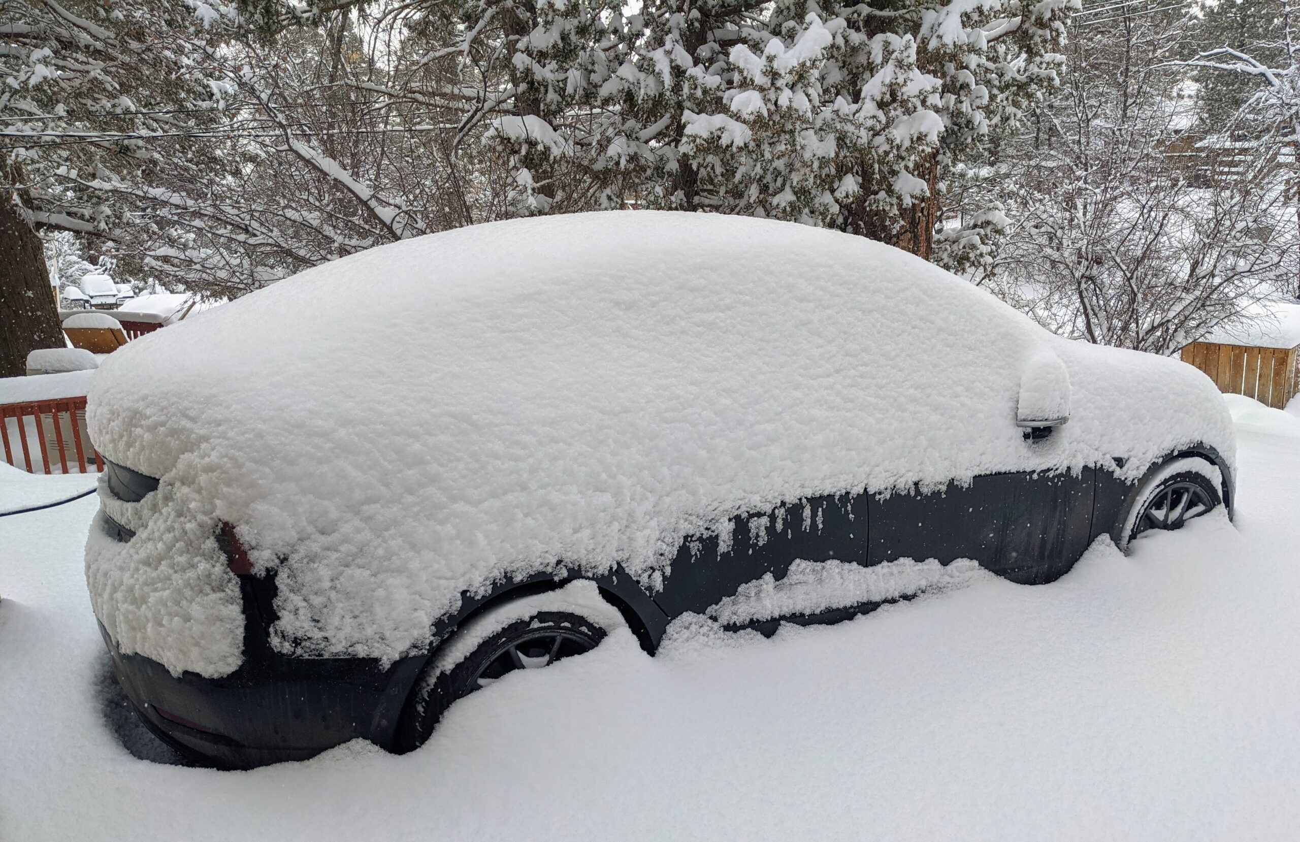 EVs That Survive Hard Winters