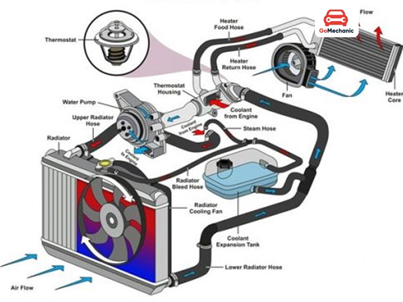 Master the Critical Cooling System Refresh