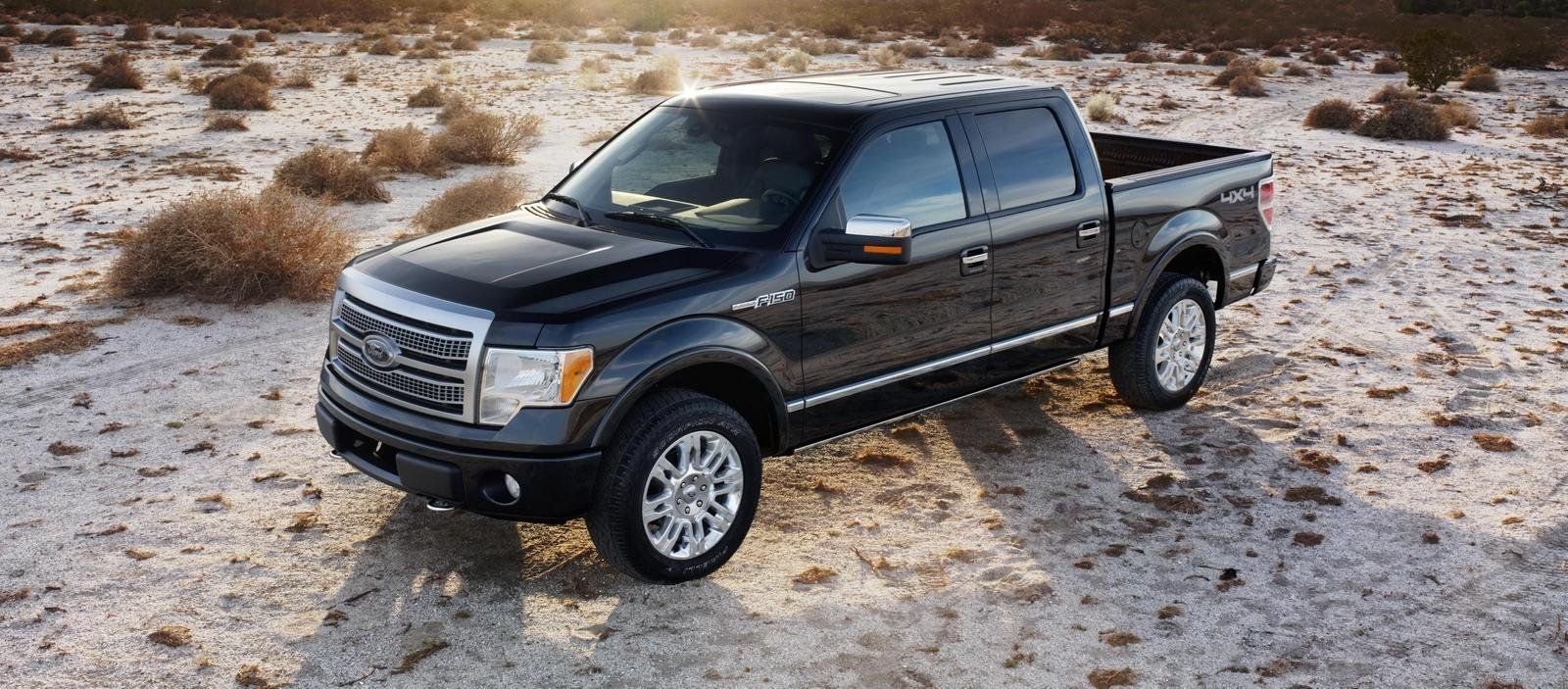 2009 Ford F 150