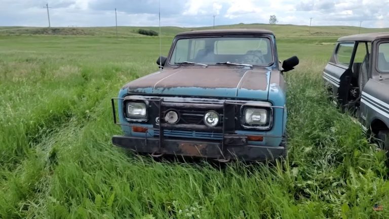 Cars That Survive Abandonment in Fields