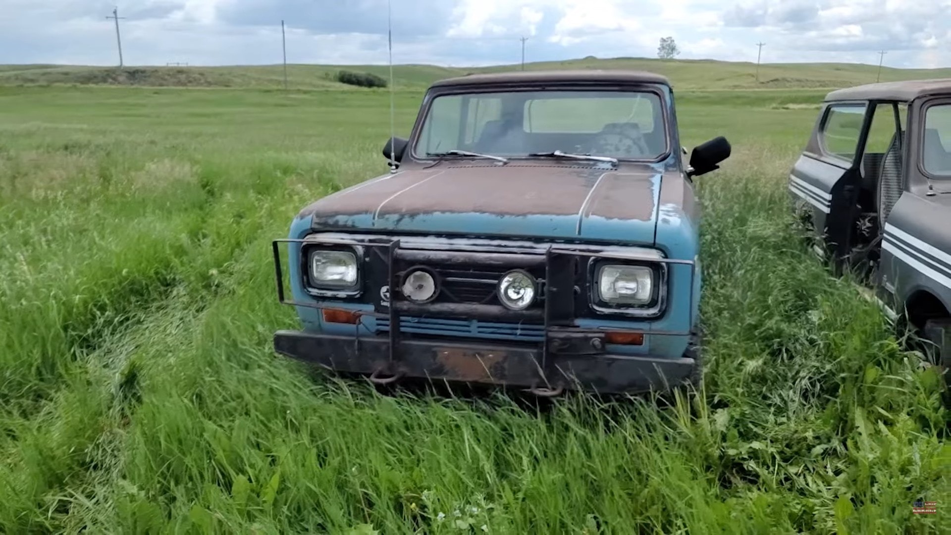 Cars That Survive Abandonment in Fields