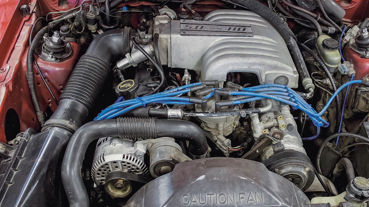 Ford 302 (5.0 Windsor)