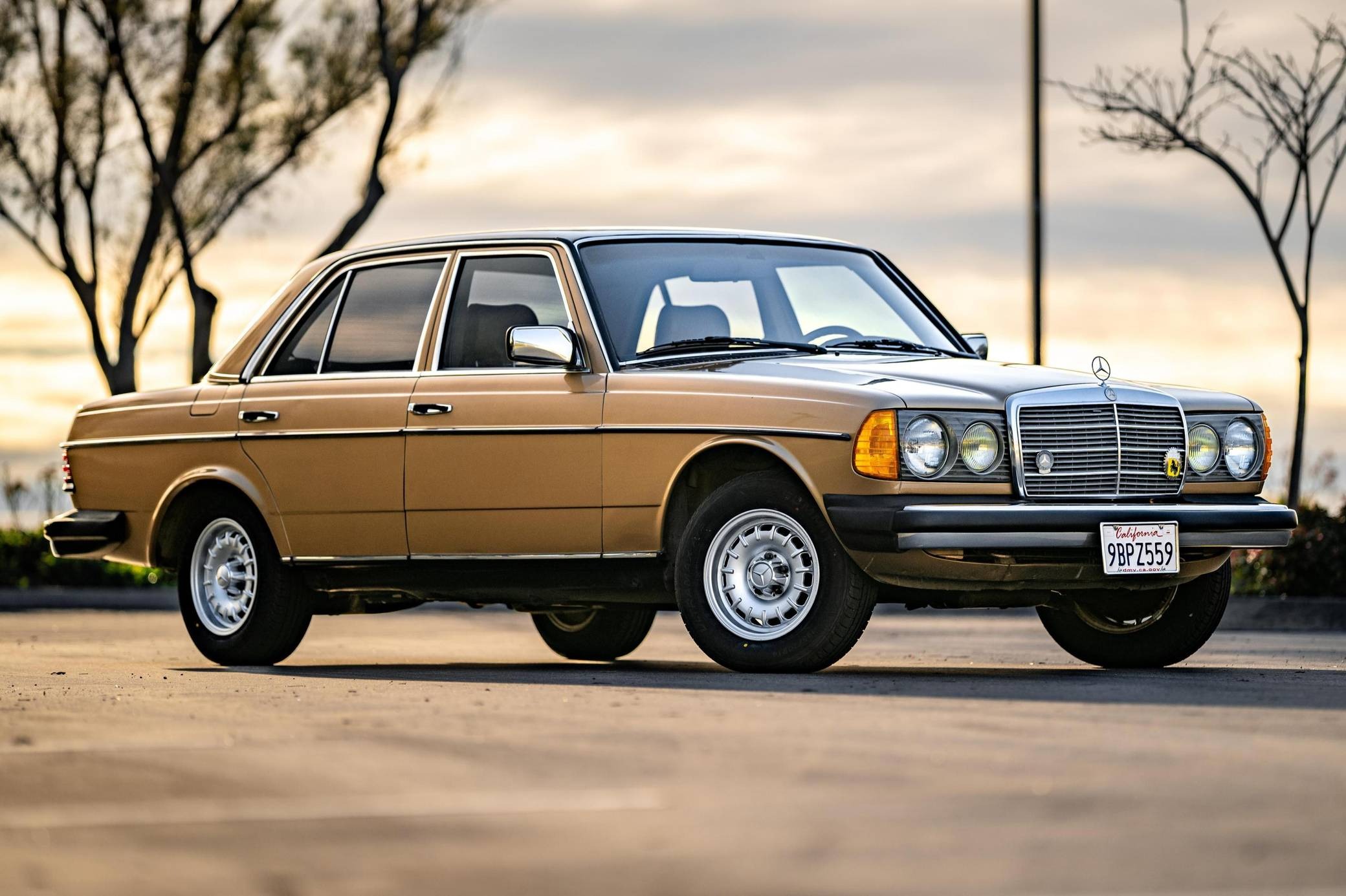 Mercedes Benz W123