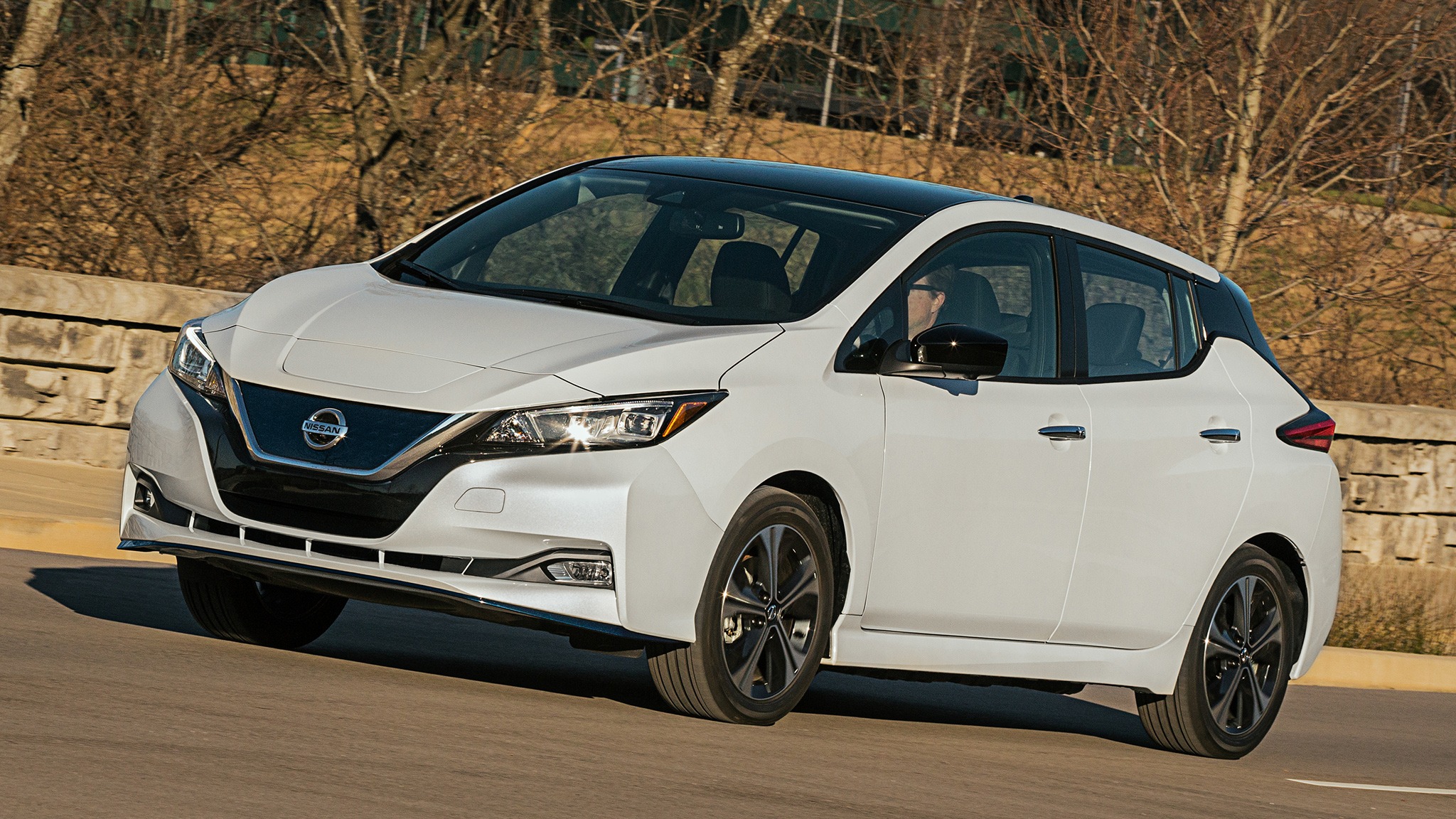 Nissan Leaf (First Generation)