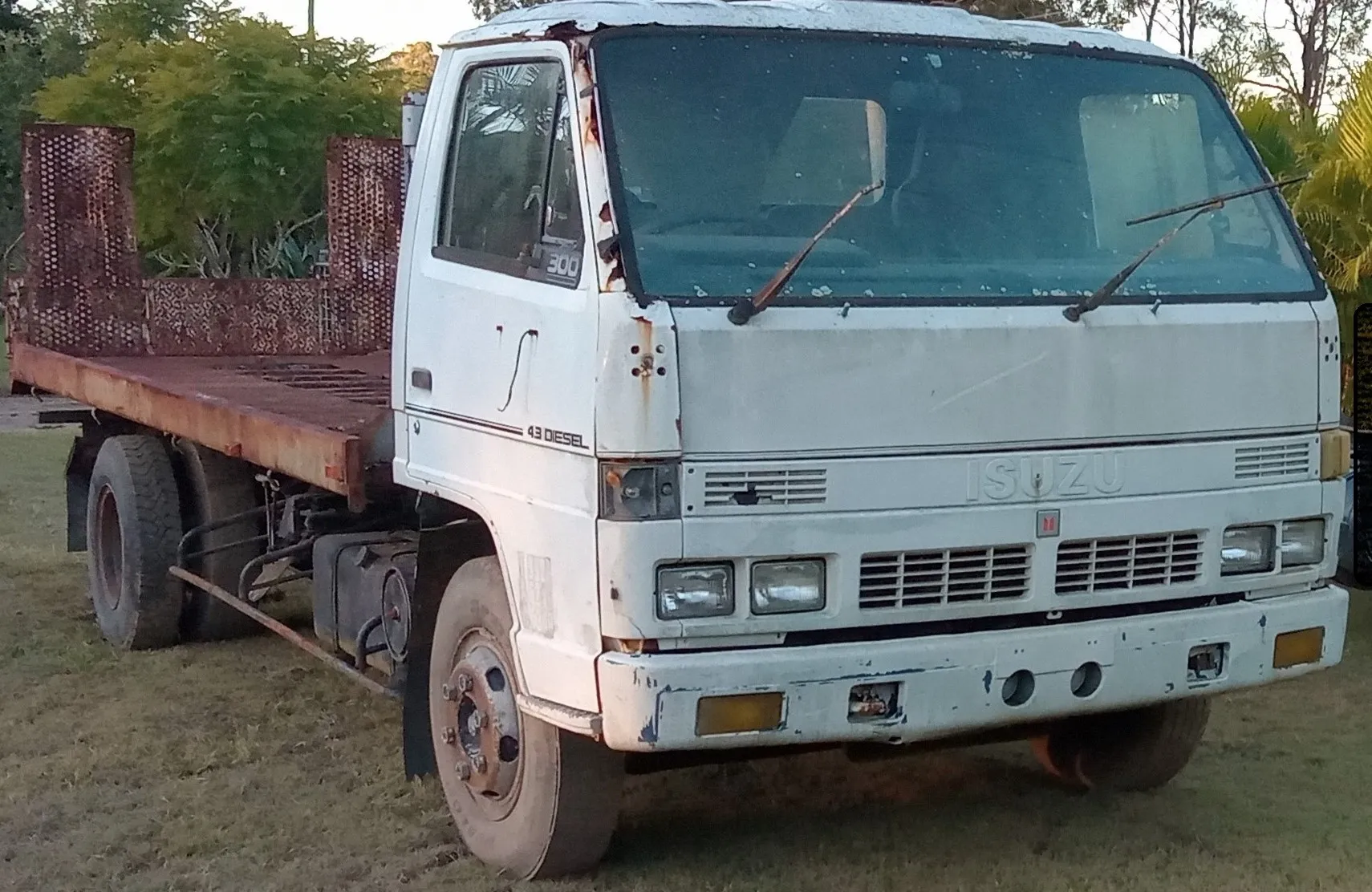 Isuzu NPR 300