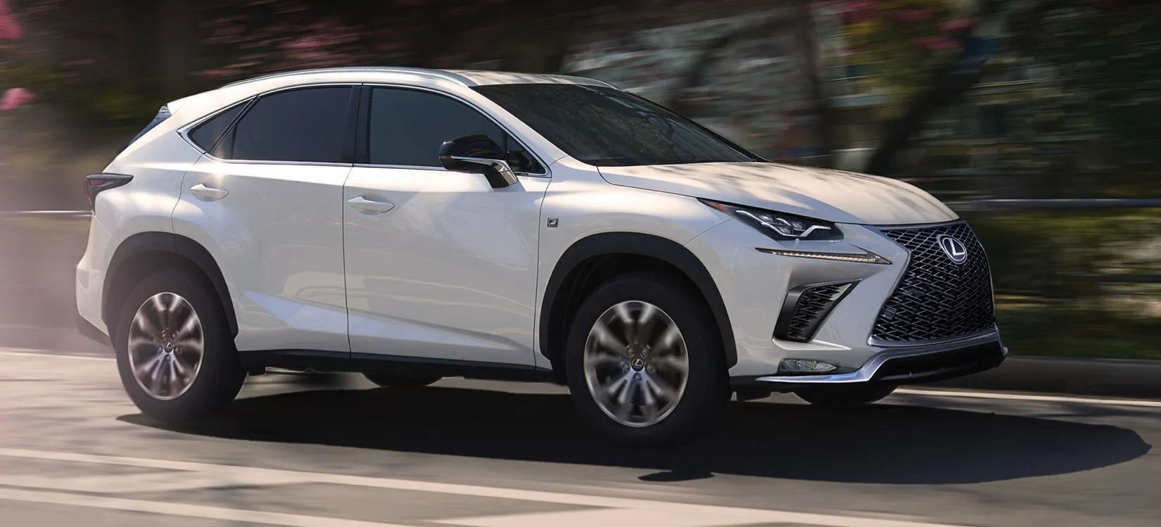 2021 Lexus NX 300 F Sport 2021 Lexus NX 300 F Sport