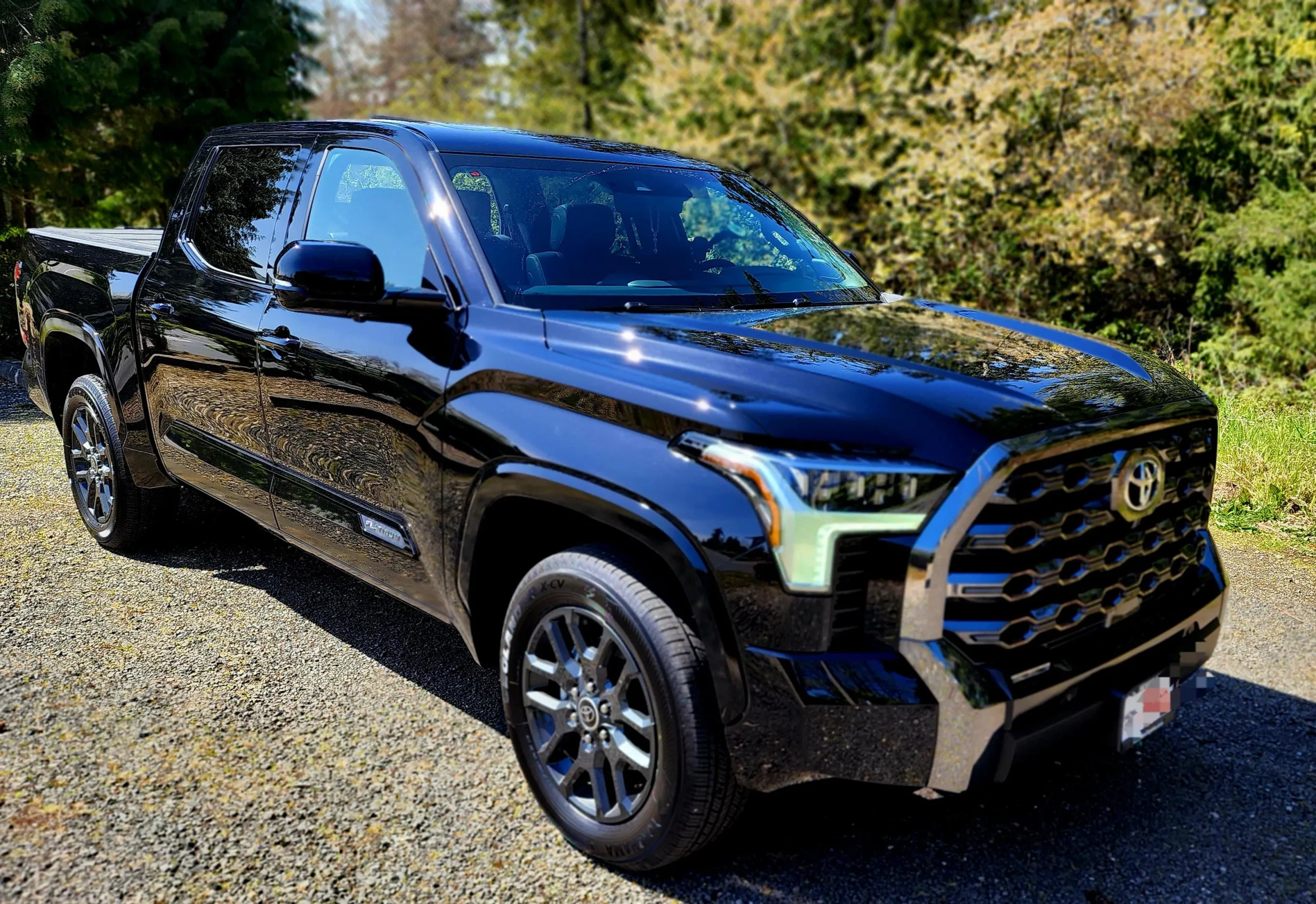 2022 Toyota Tundra Platinum 2022 Toyota Tundra Platinum