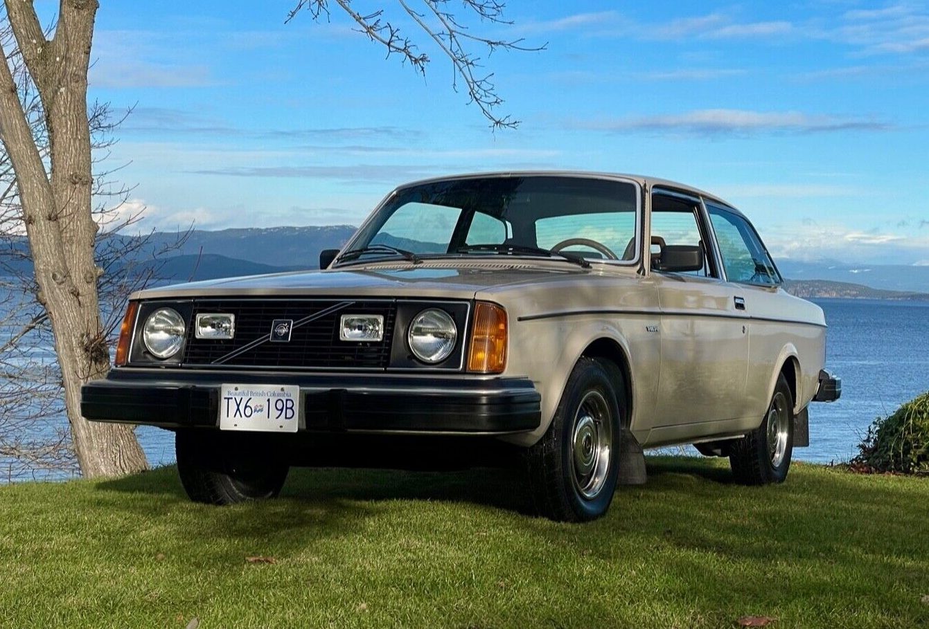 Volvo 240 Coupe