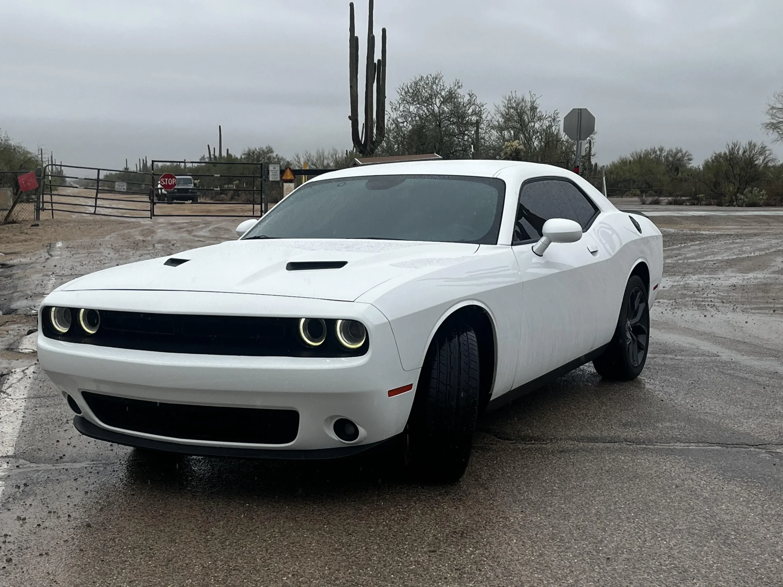 Dodge Challenger SXT