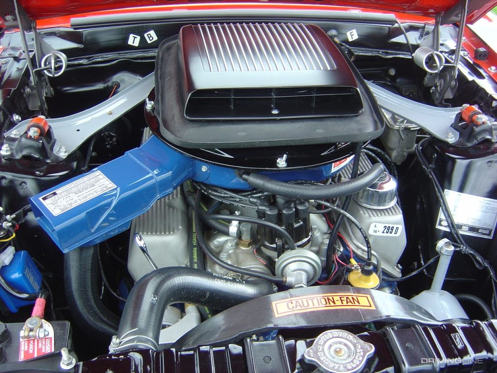 Ford 302 Small Block V8