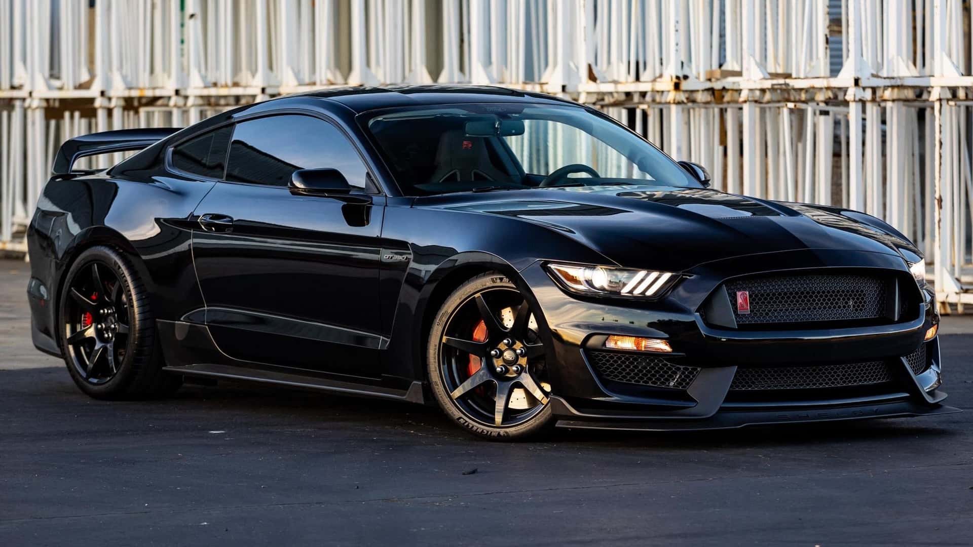 Ford Shelby Mustang GT350R (2016)