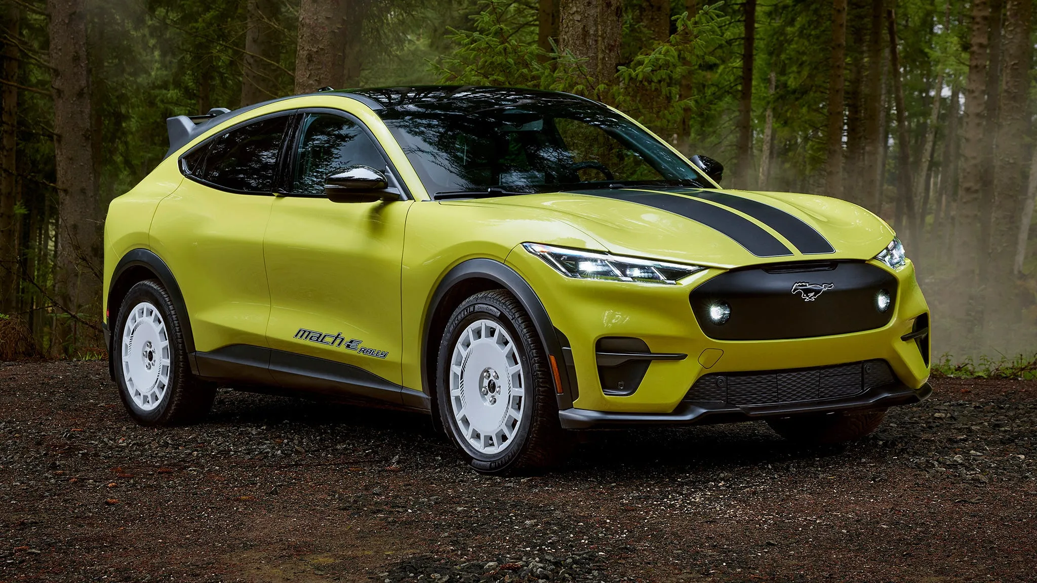 Ford Mustang Mach E California Route 1 Ford Mustang Mach E California Route 1