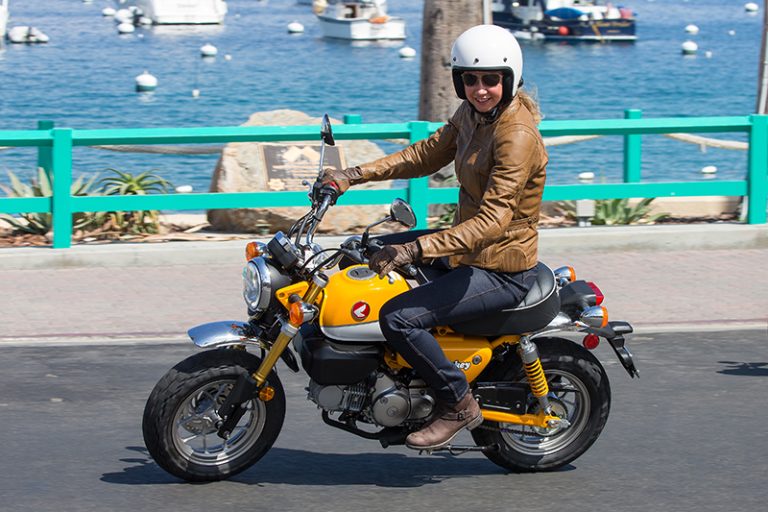 Top 10 Mini Motorcycles Built Big Enough for Adult Riders - DAX Street