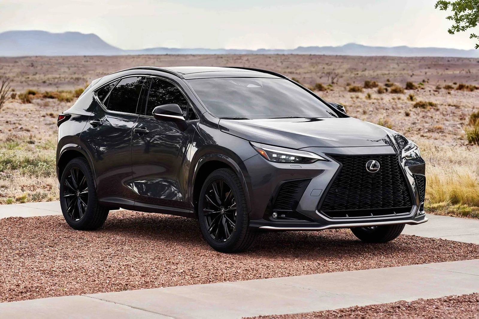 Lexus NX 350h