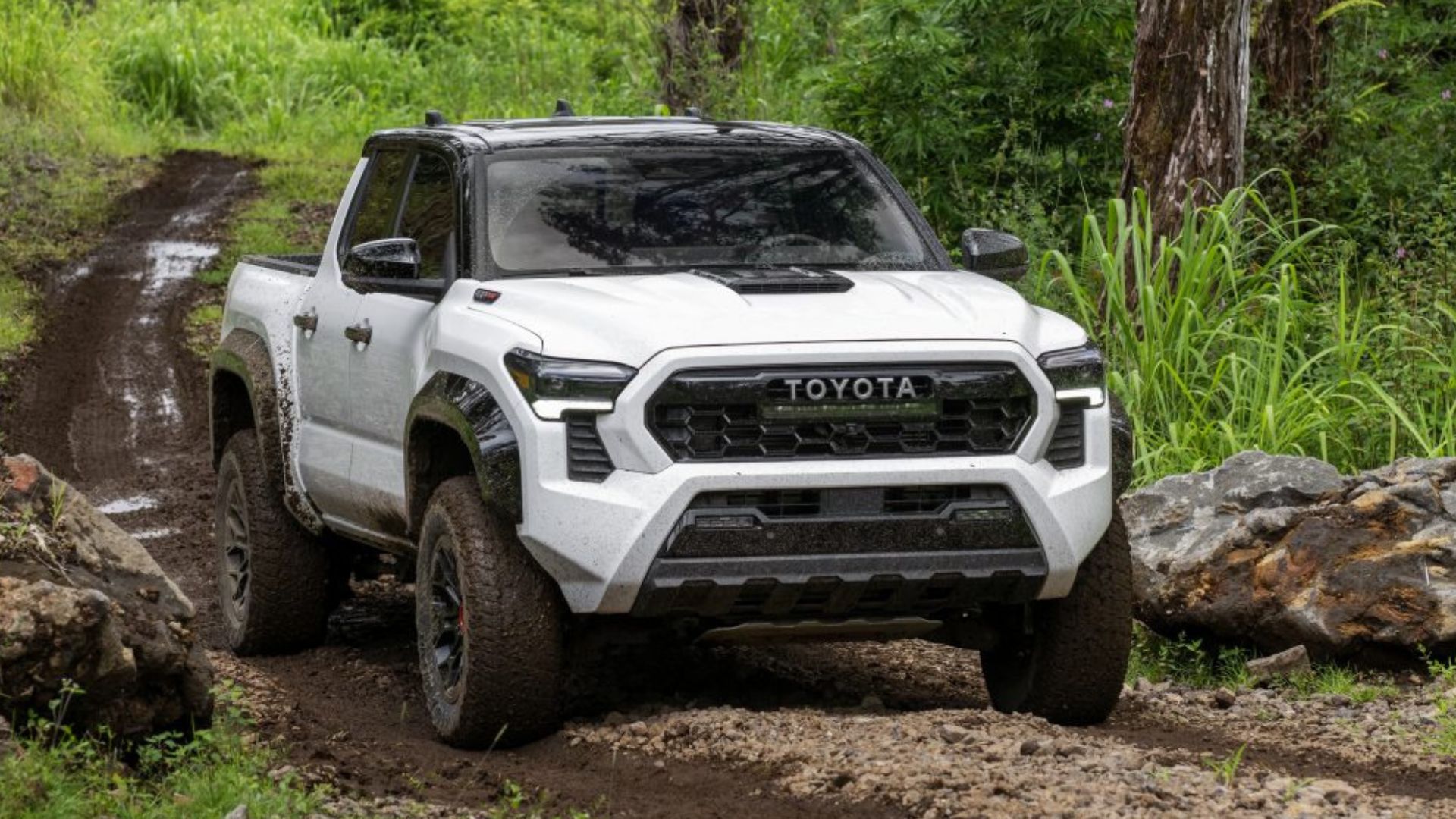 Toyota Tacoma