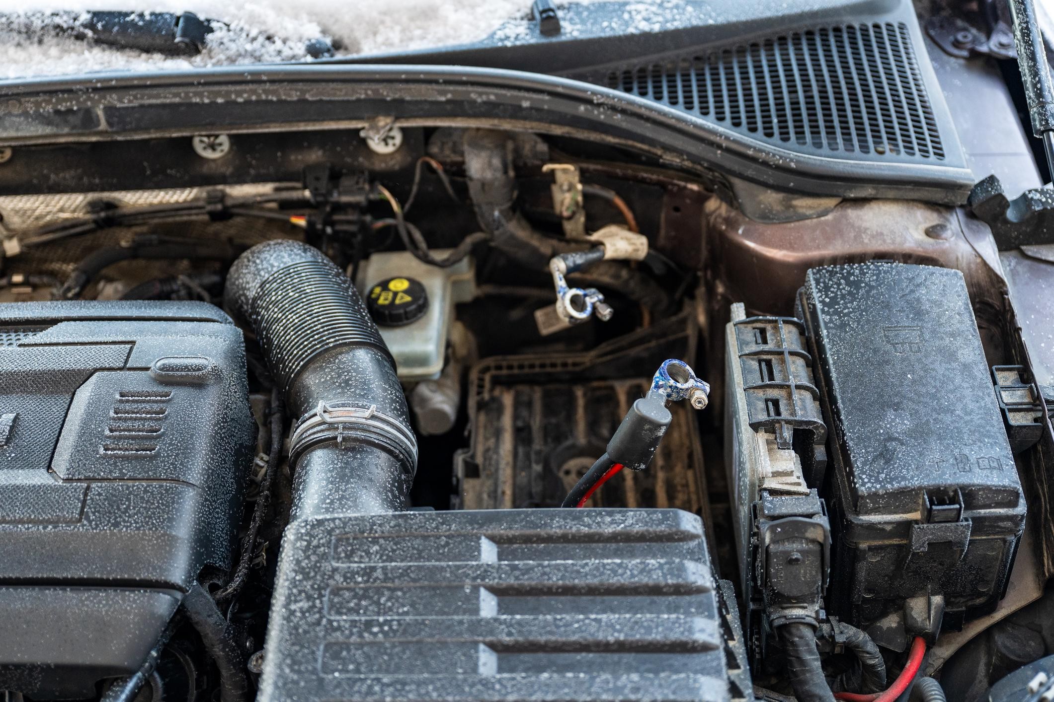 Check and Clean Battery Terminals Regularly