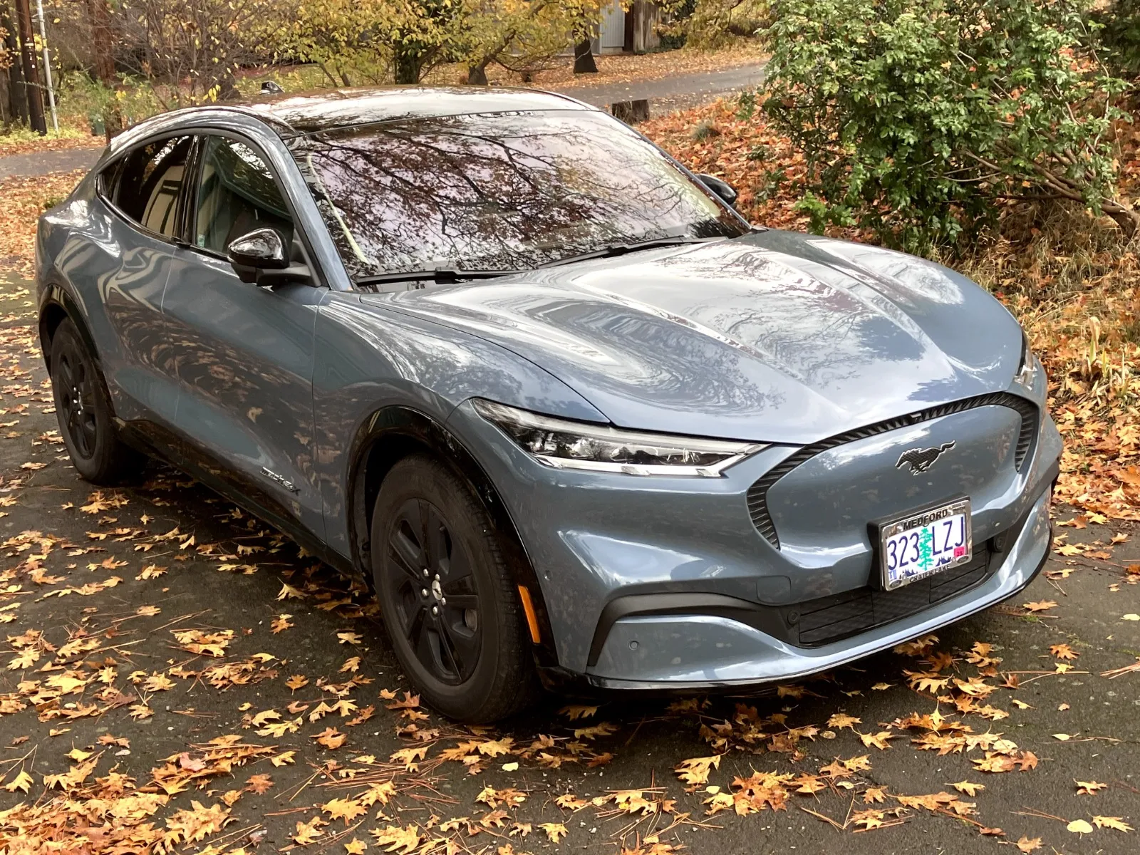 Ford Mustang Mach E California Route 1 Ford Mustang Mach E California Route 1